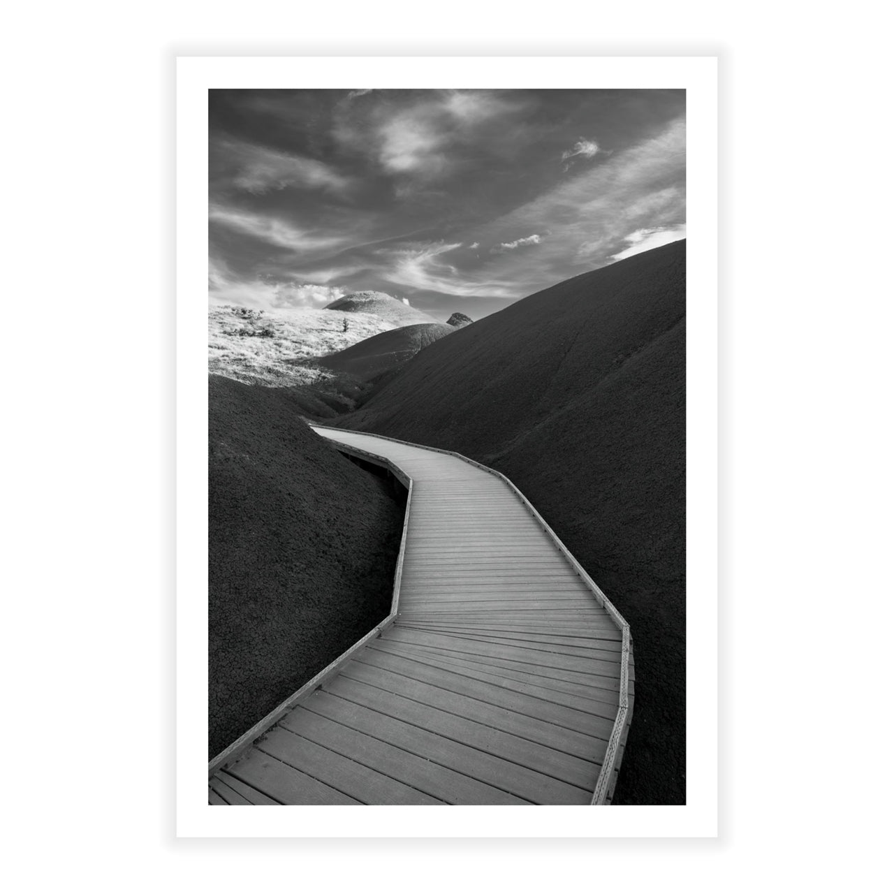 Boardwalk Through Time - Fine Art Print