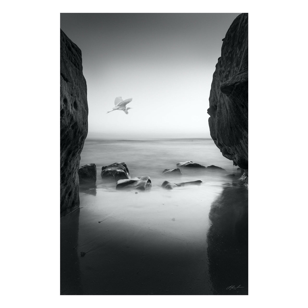 "Fly By" Coastal Photography Print