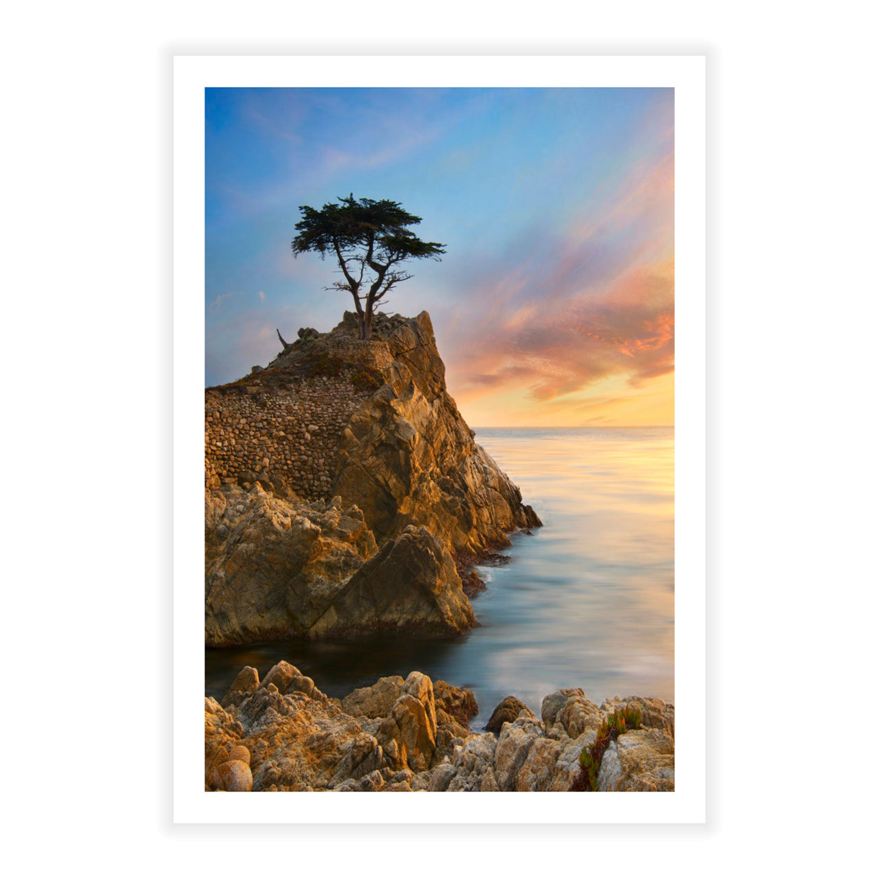 Lone Cypress - Fine Art Print