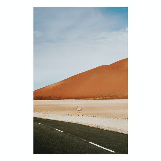 "Oryx" Desert Fine Art Photography