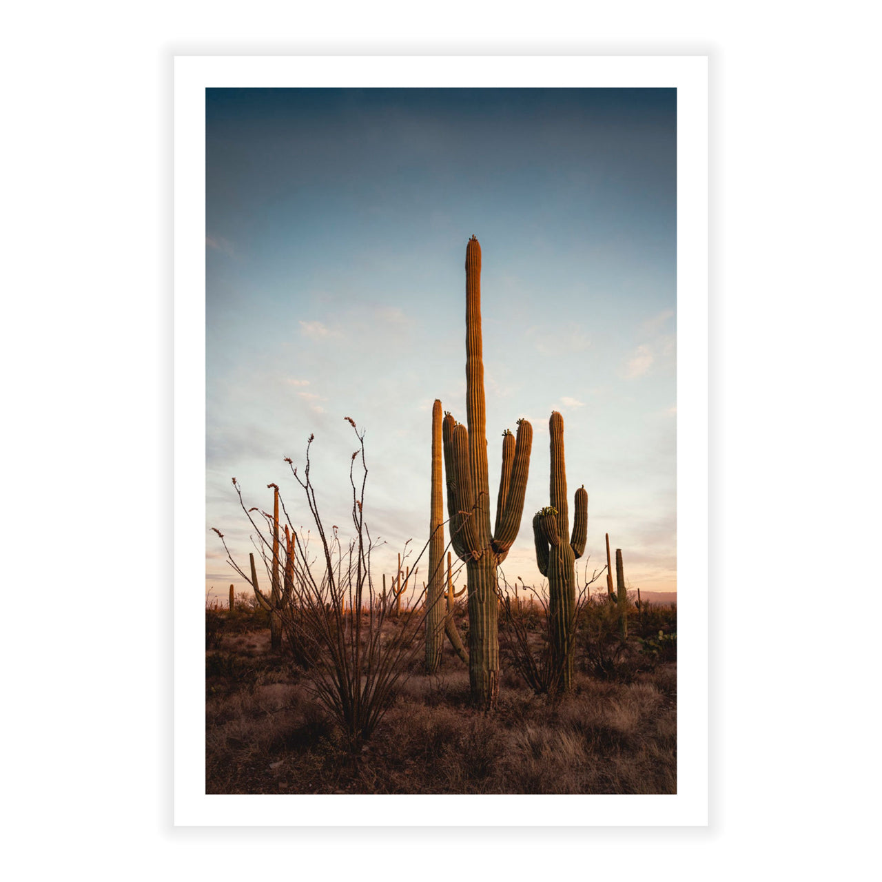 Sonoran’s Gentle Farewell - Fine Art Print
