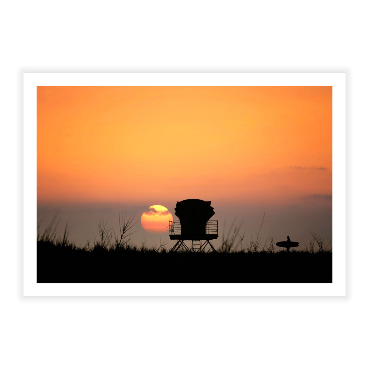 Surfing Safari - Fine Art Print