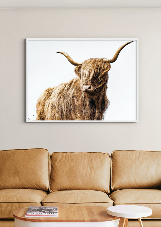 "Highlander" Highland Cow Wall Art
