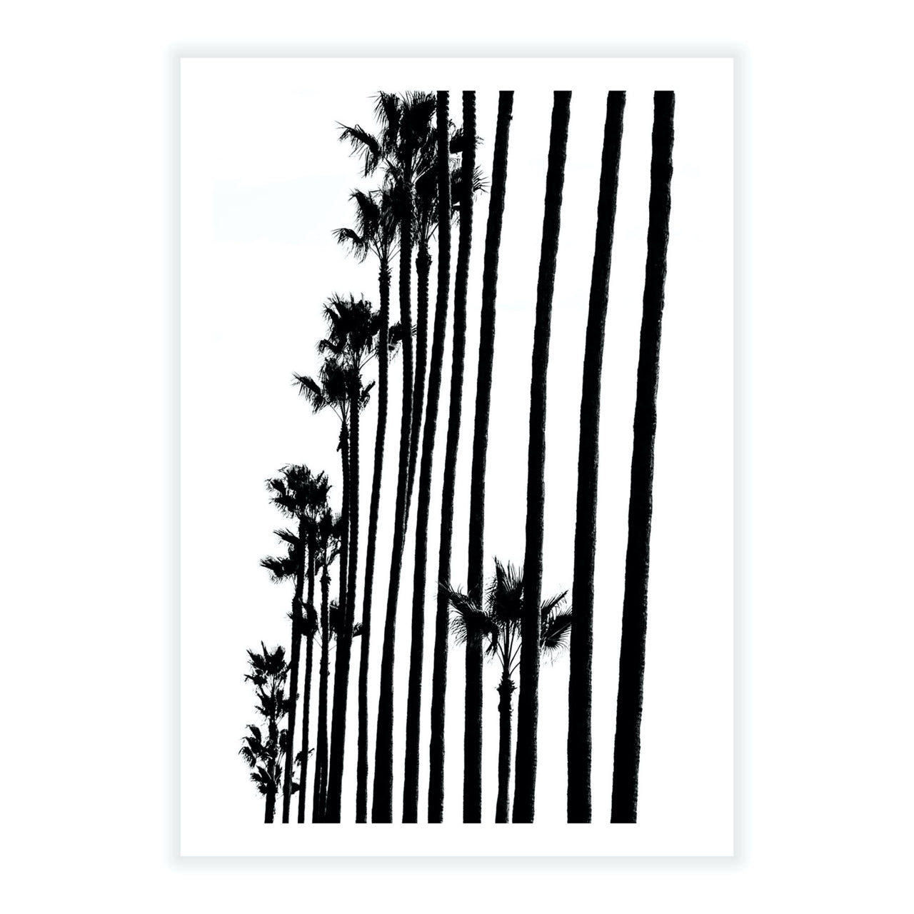 Tree Line - Fine Art Print