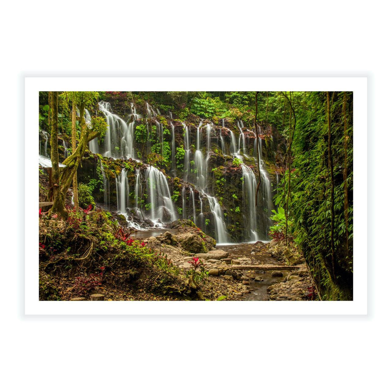 Tropical Flow - Fine Art Print