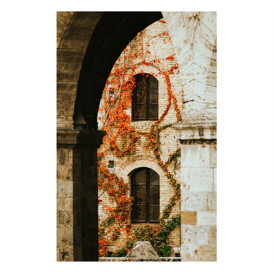 "Vines in View" Architecture Photography Art Print
