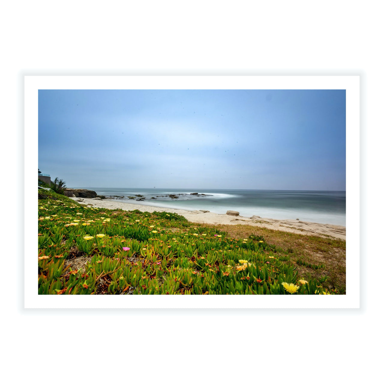 Windansea - Fine Art Print