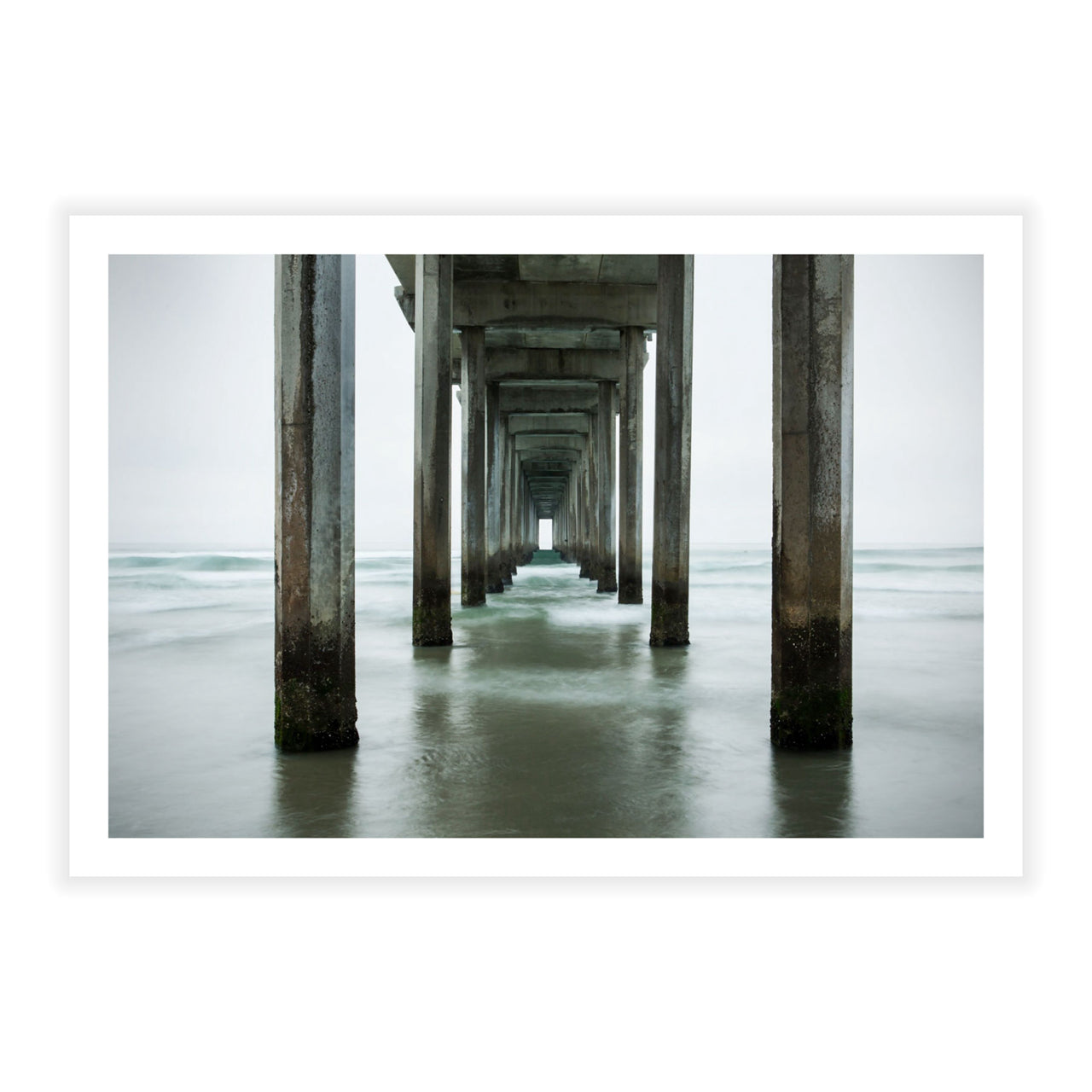 Winter Greys - Fine Art Print