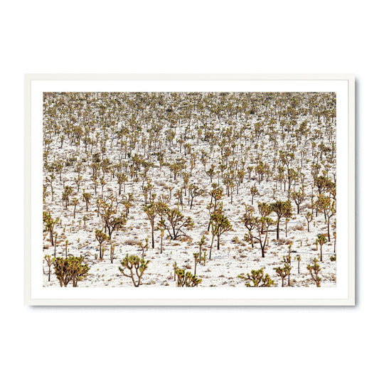 Winter Wonderland - Fine Art Print