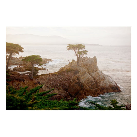 "Pebble Beach" Coastal Wall Art