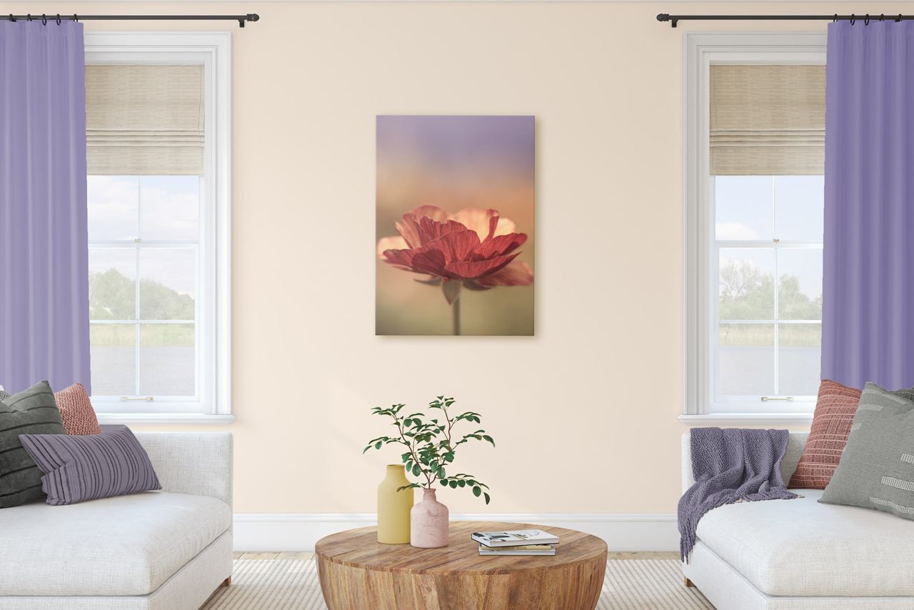 Fine Art Prints - "A Blast Of Color" | Nature Photography Prints