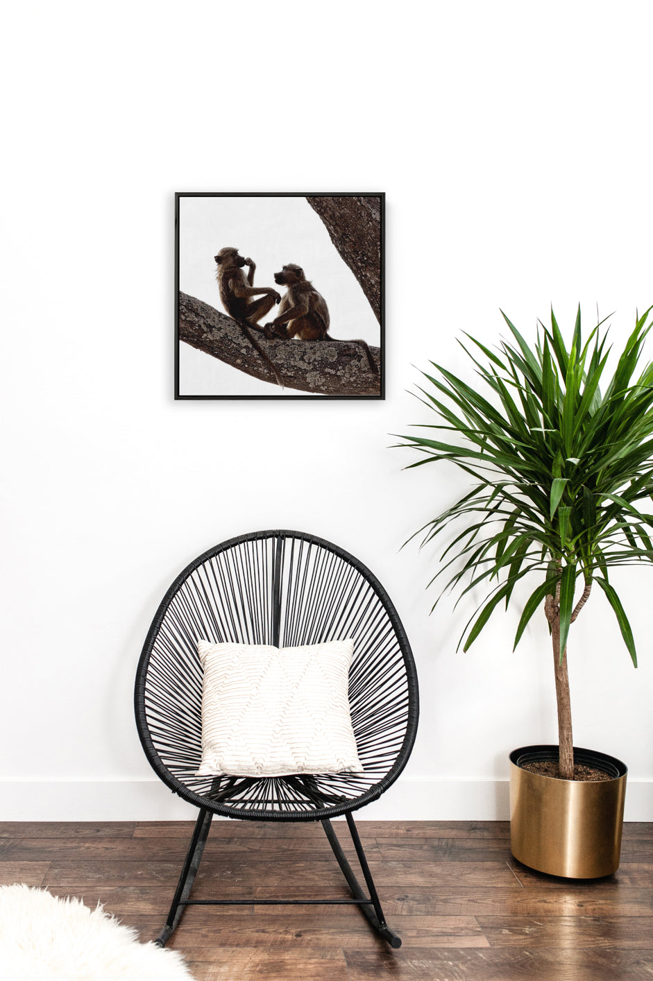 Fine Art Prints - "Baboon Buds" | Nature Landscape Photography