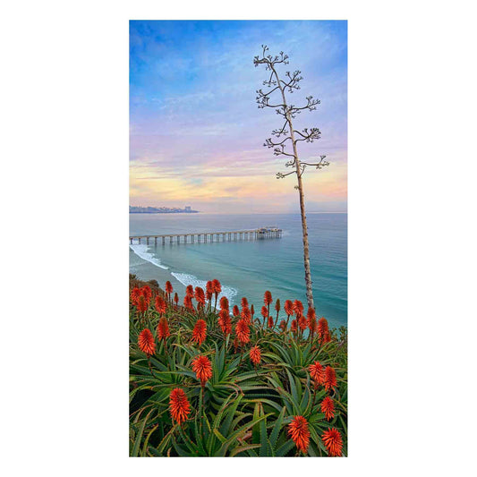 Fine Art Prints - "Eden's View" | Coastal Landscape Photography