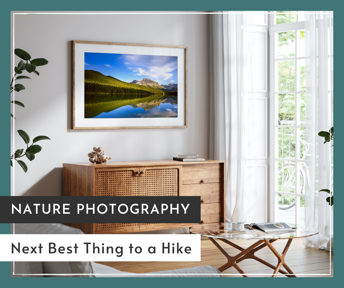 Nature Photography - Next Best Thing to a Hike