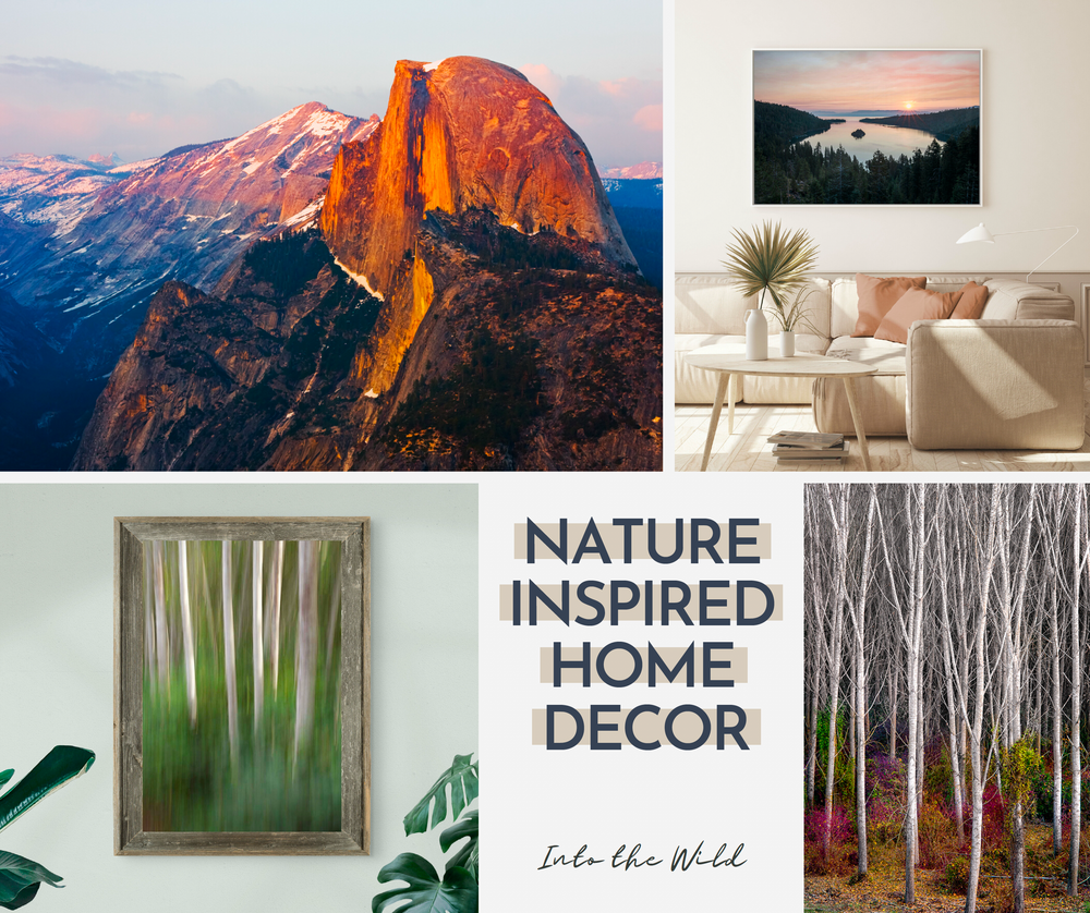 Nature Inspired Wall Art: "Into the Wild"