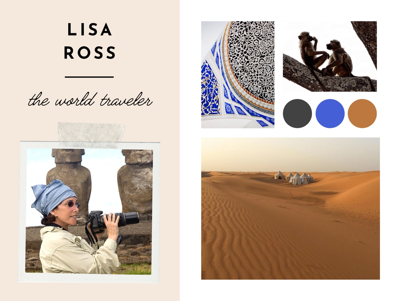 Lisa Ross Gallery Collection