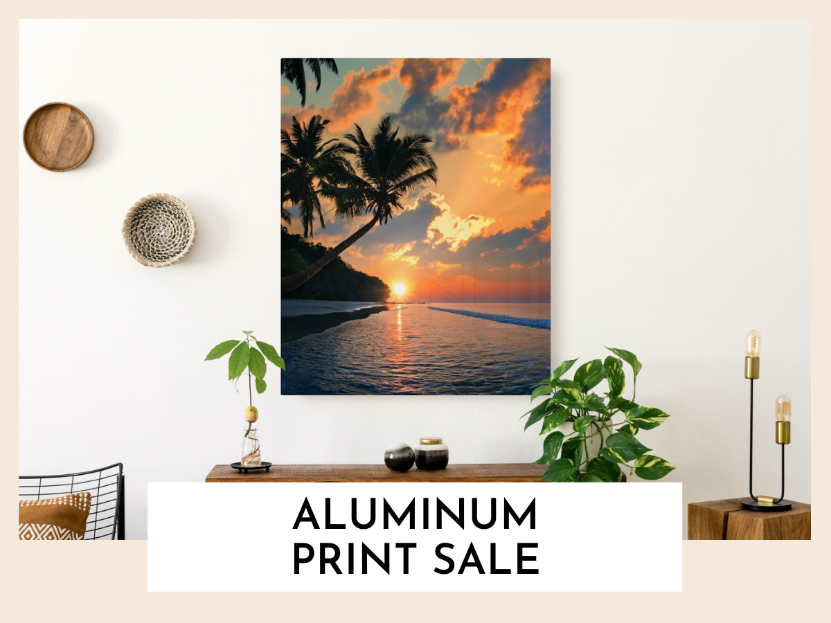 Nature Photography on Aluminum Sale