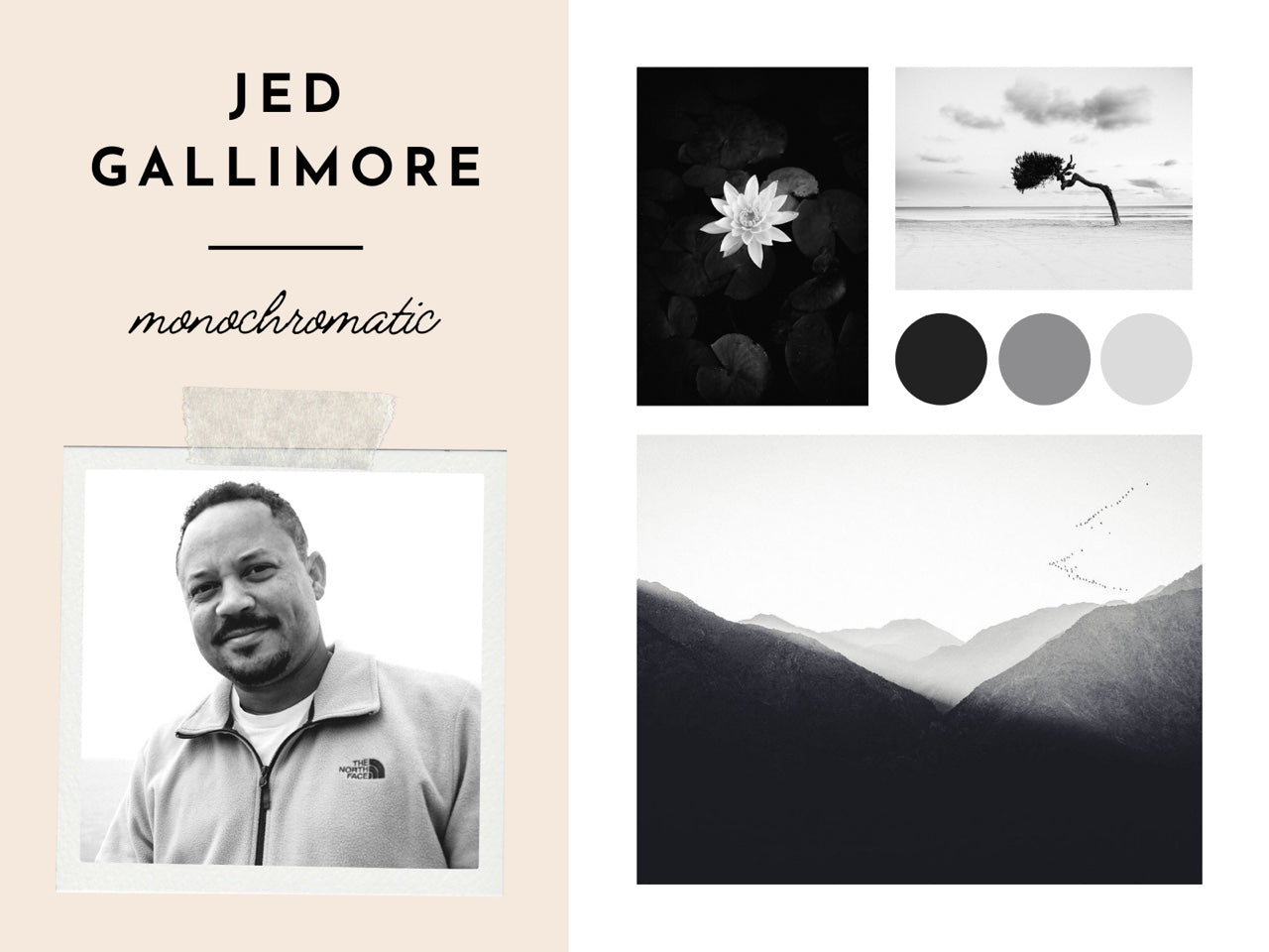 Jed Gallimore Gallery Collection