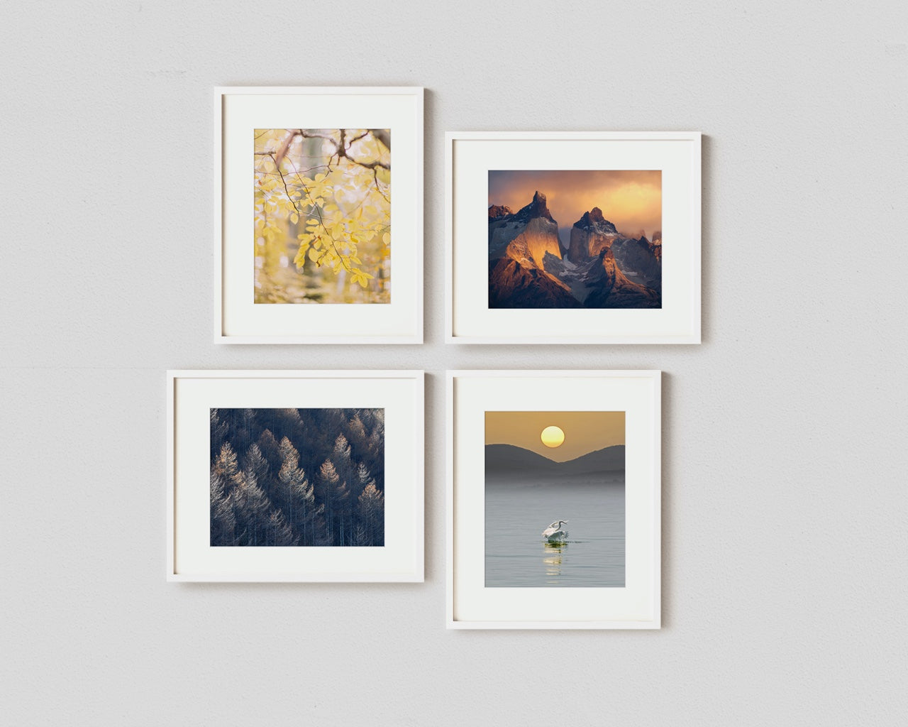 "Equinox" Gallery Wall Art
