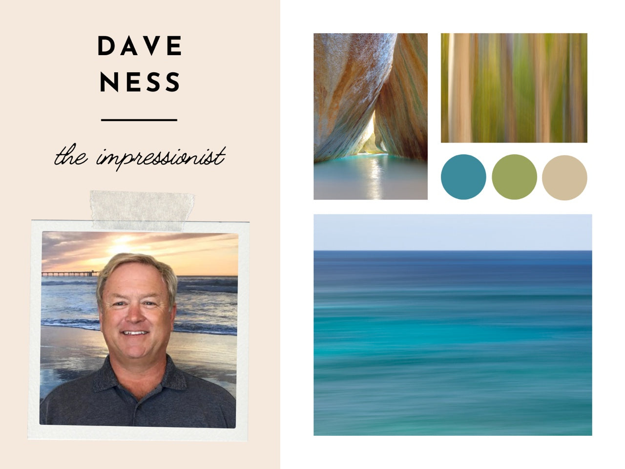 Dave Ness Gallery Collection