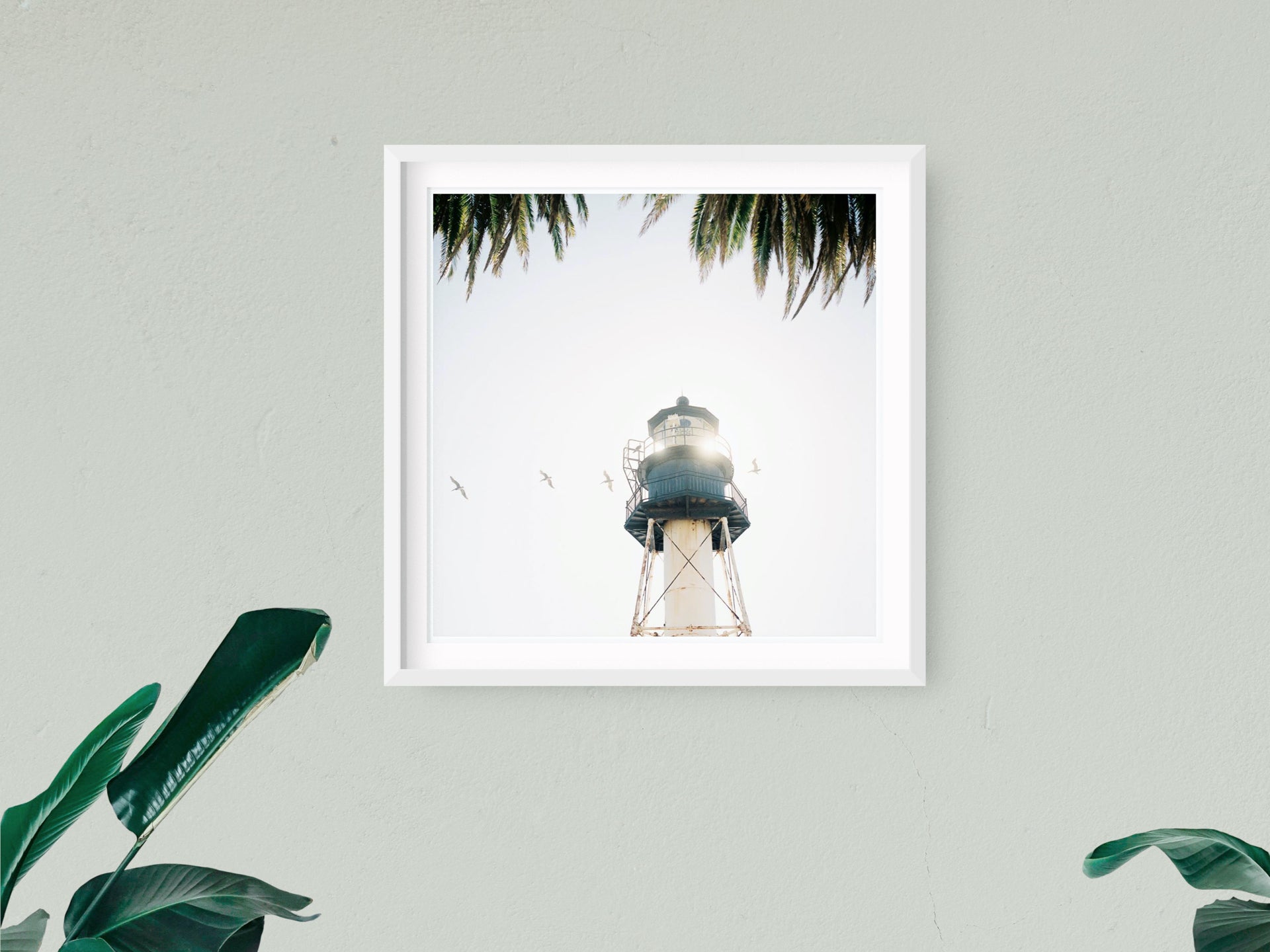 "Light & Bright" Fine Art Prints