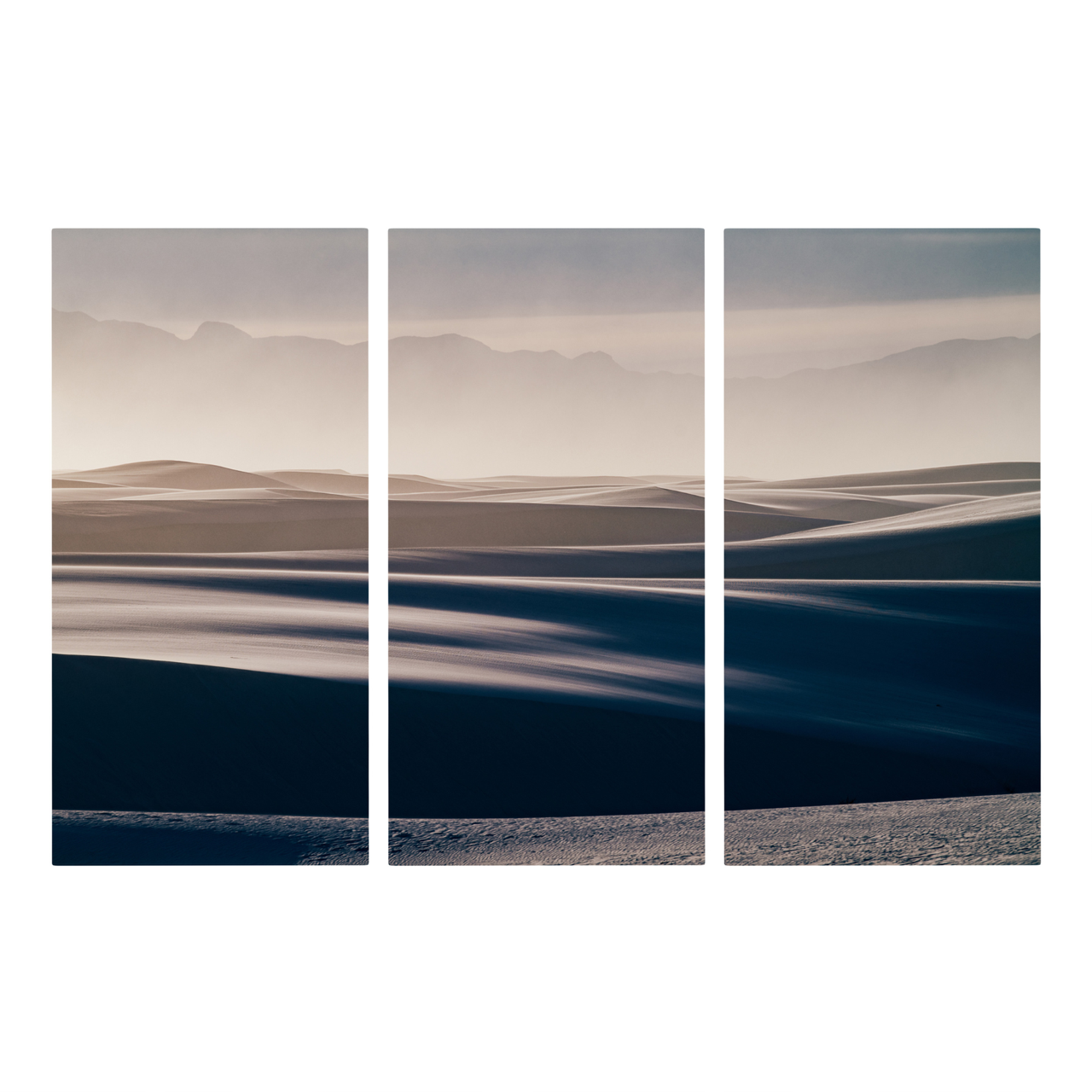 "Any Way the Wind Blows" Triptych, Desert Wall Art - Set of 3