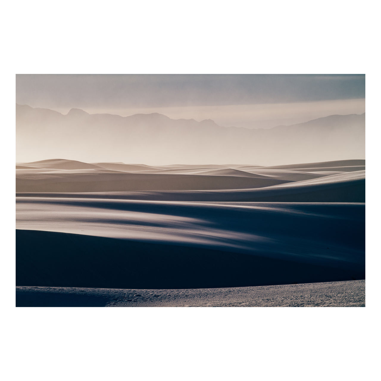 "Any Way the Wind Blows" | Desert Photography Print
