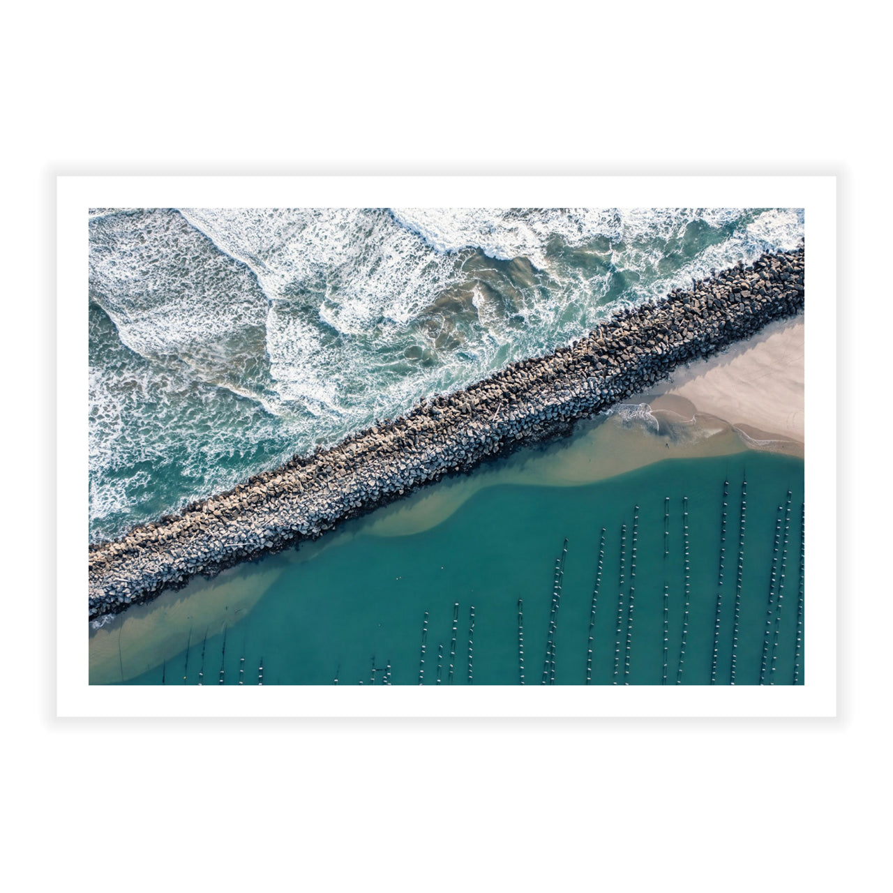 Aquatic Agriculture - Fine Art Print