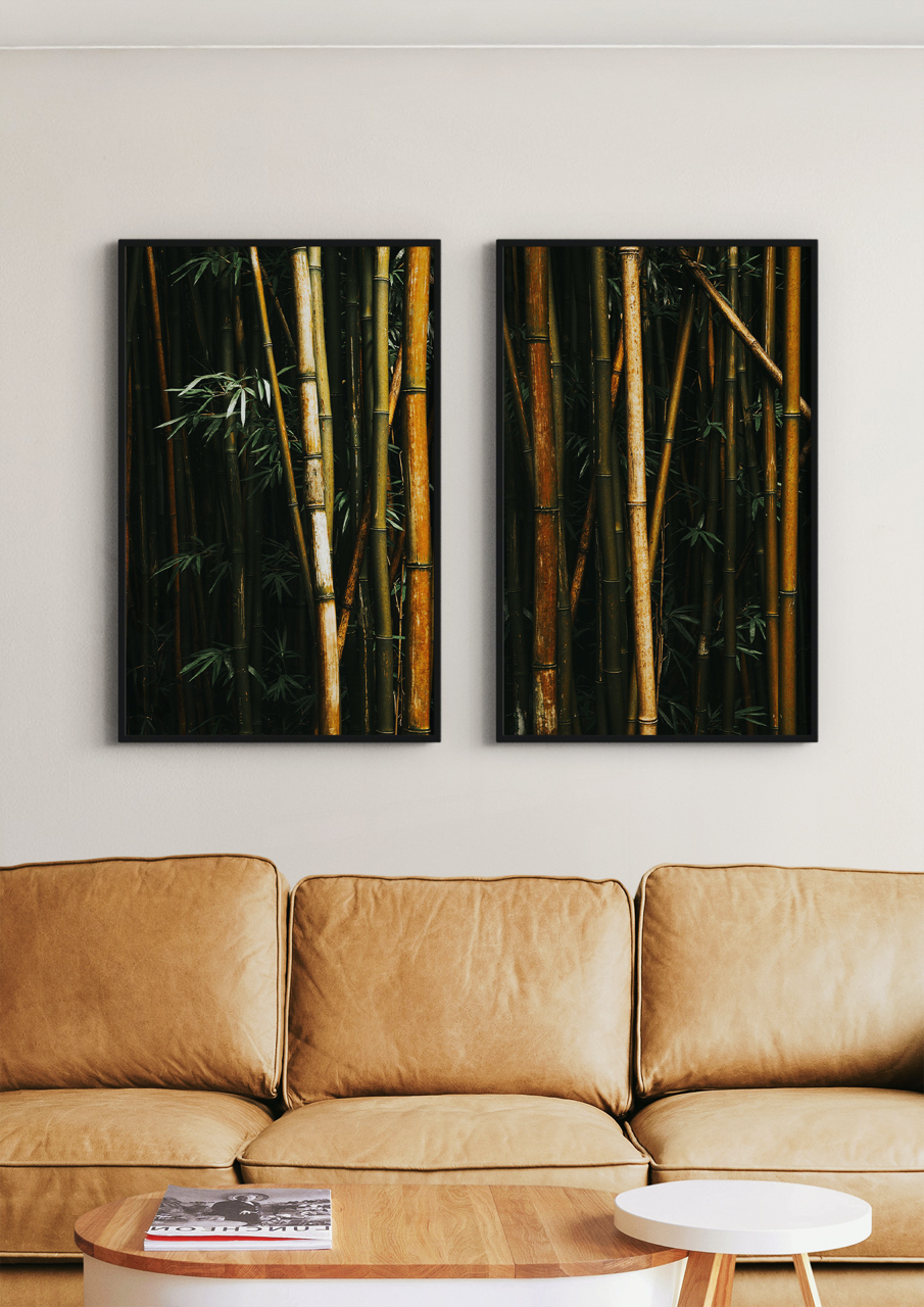 "Bamboo III" Nature Photography Print