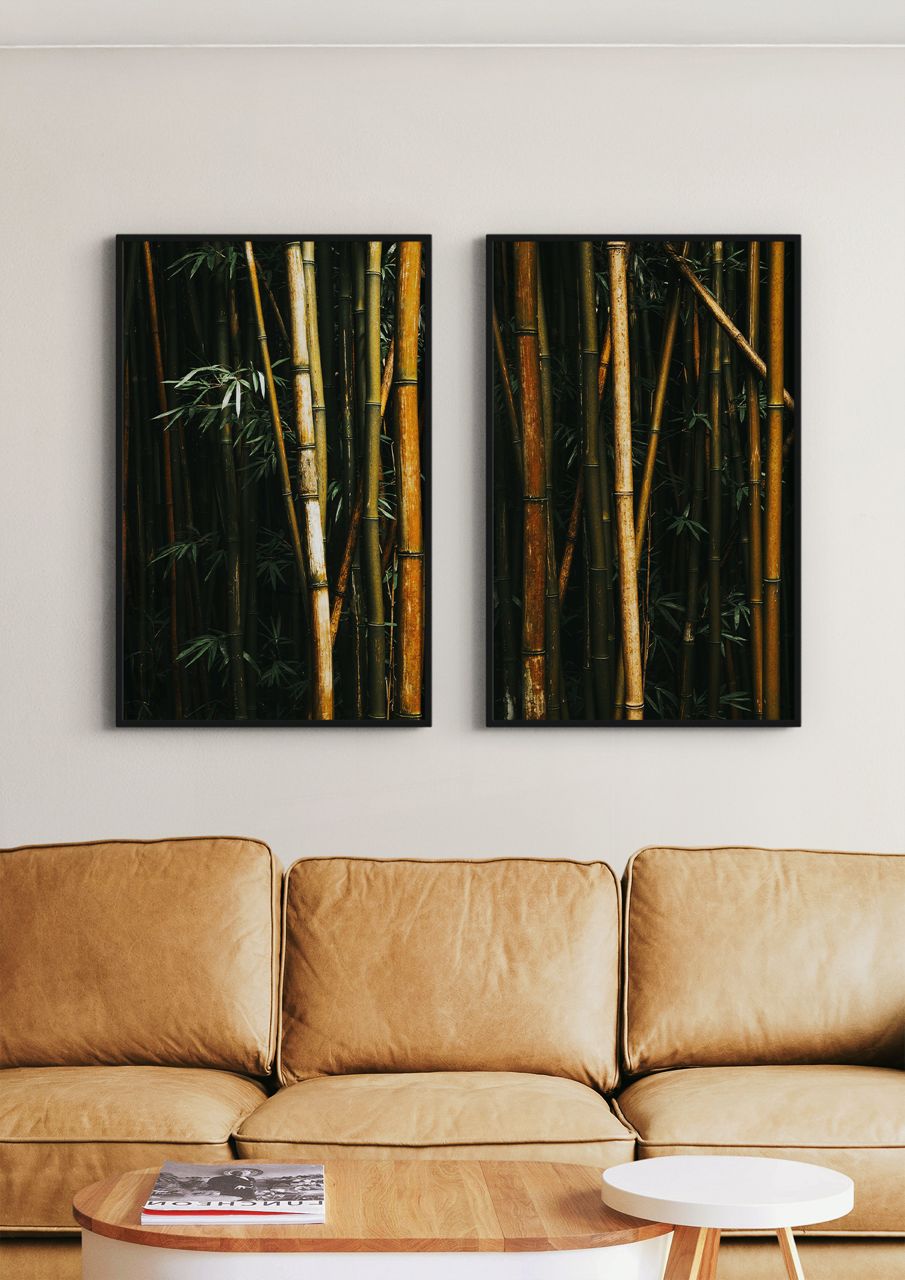 "Bamboo III" | Nature Photography Print