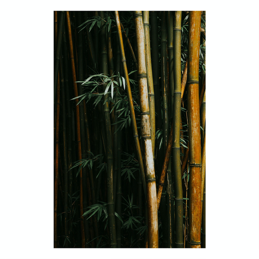 "Bamboo IIII" Nature Photography Print