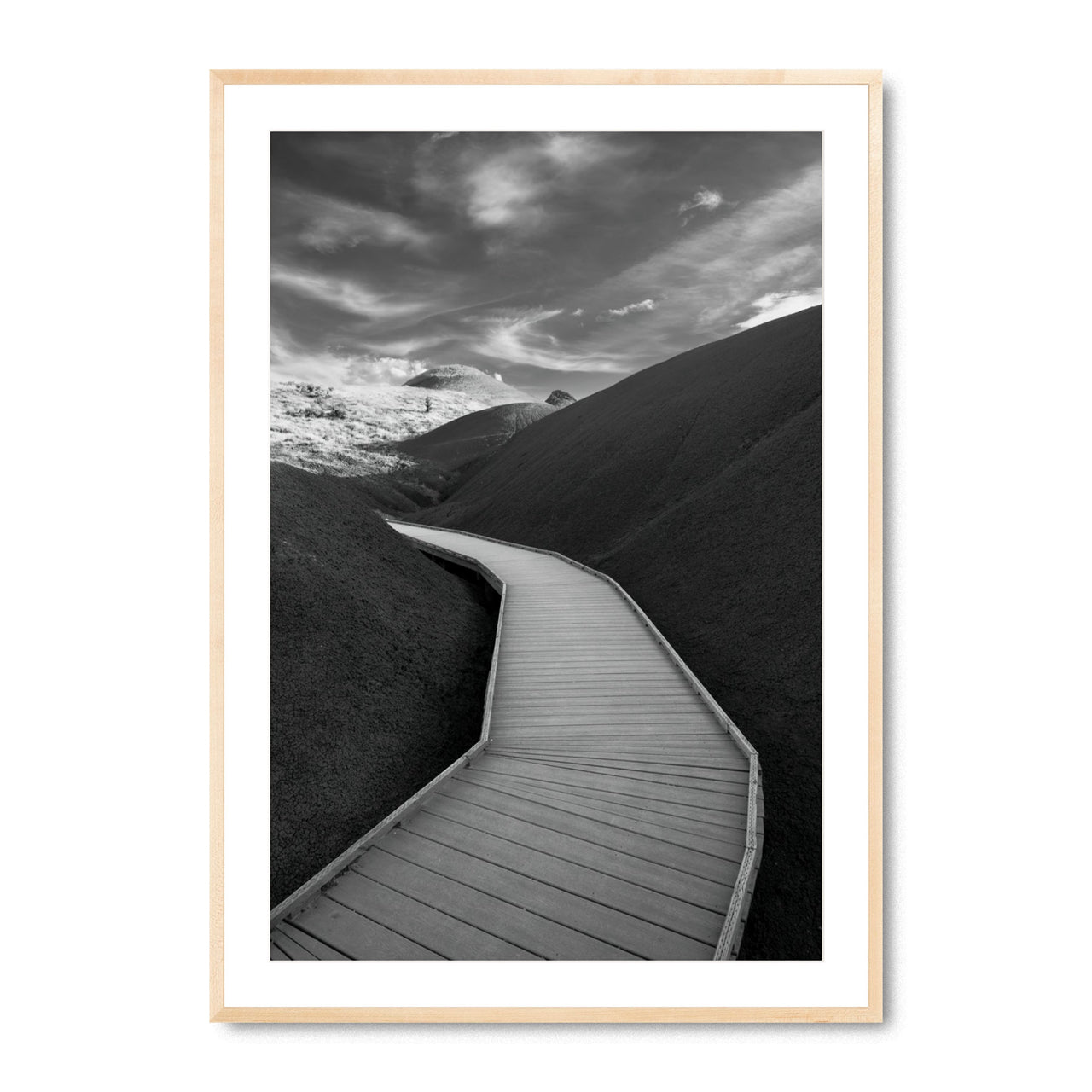 Boardwalk Through Time