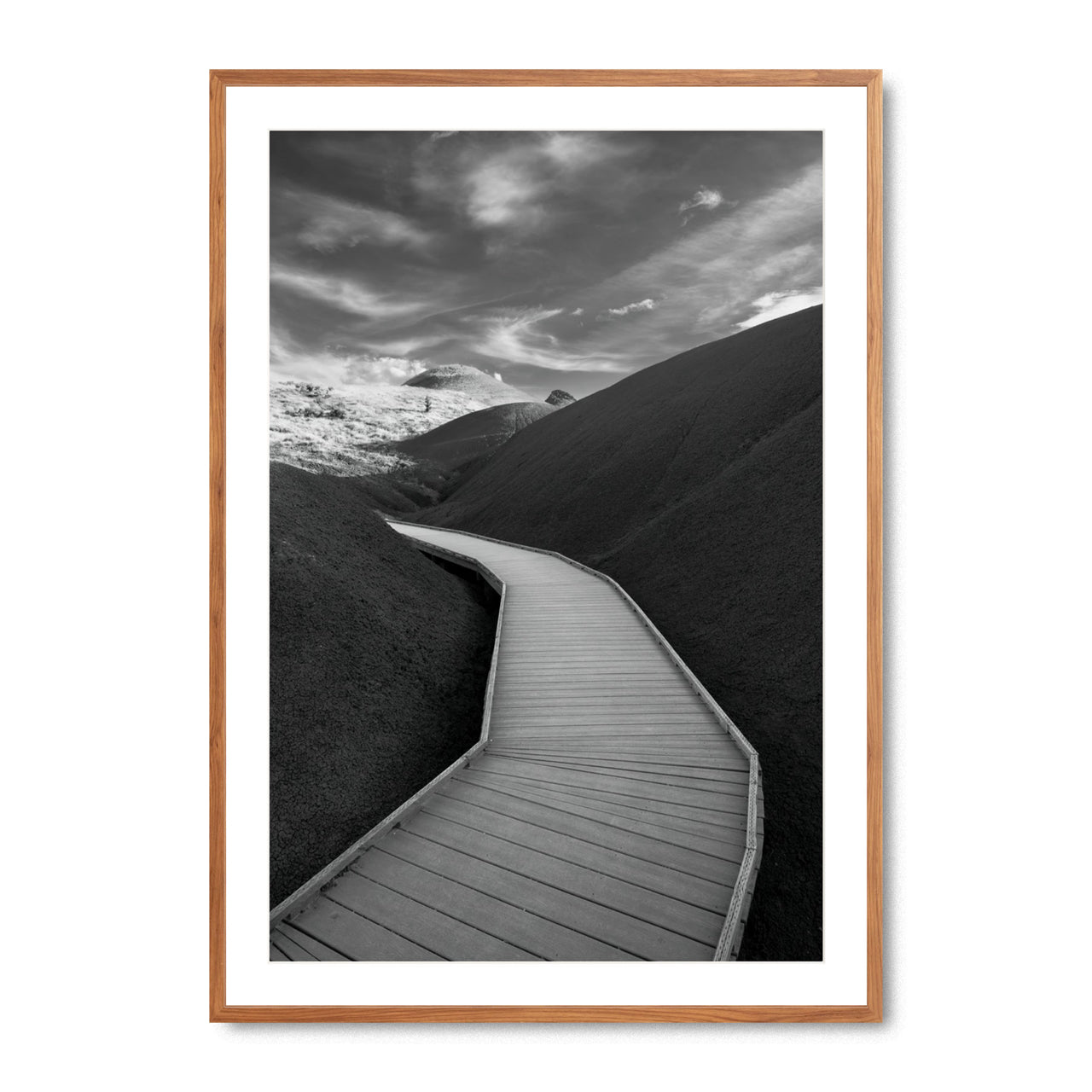 Boardwalk Through Time