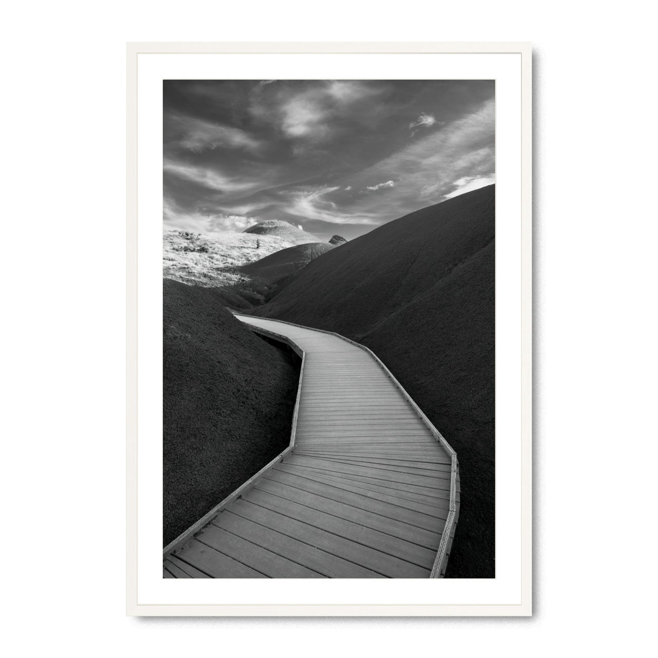Boardwalk Through Time