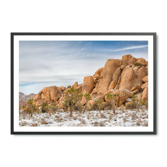 Boulders and Joshuas - Fine Art Print