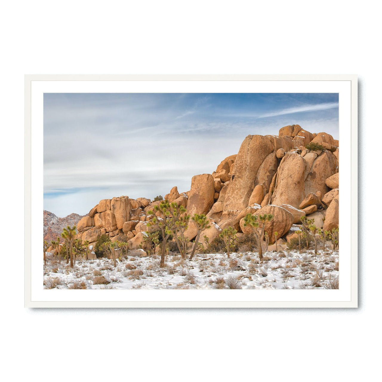 Boulders and Joshuas - Fine Art Print