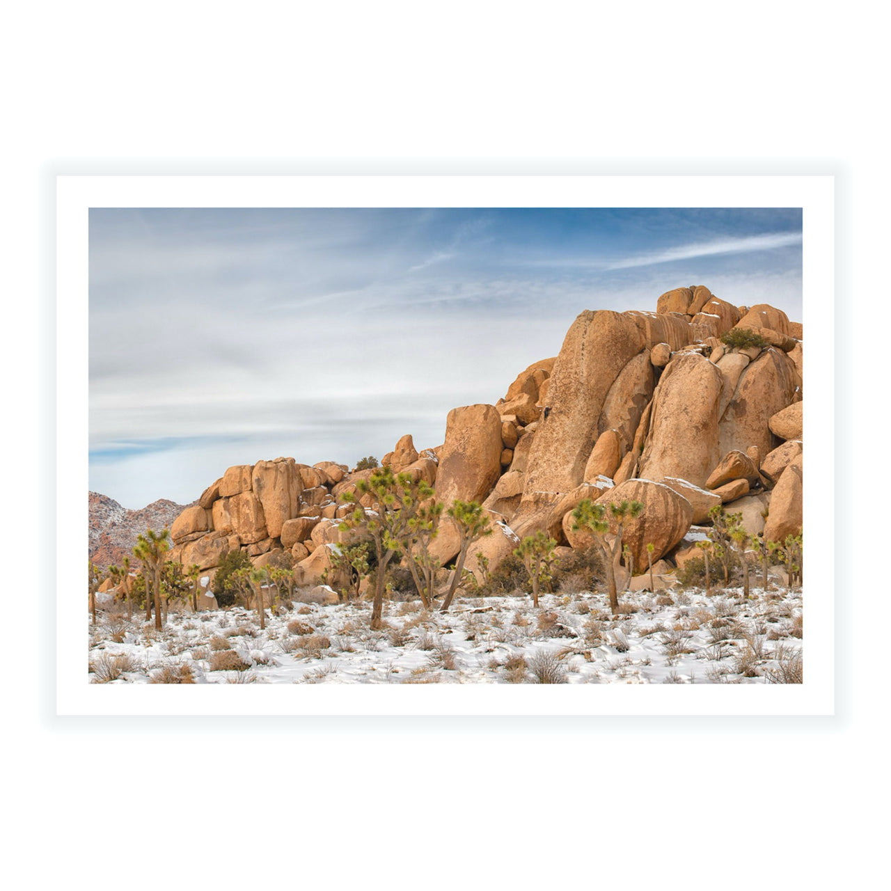 Boulders and Joshuas - Fine Art Print