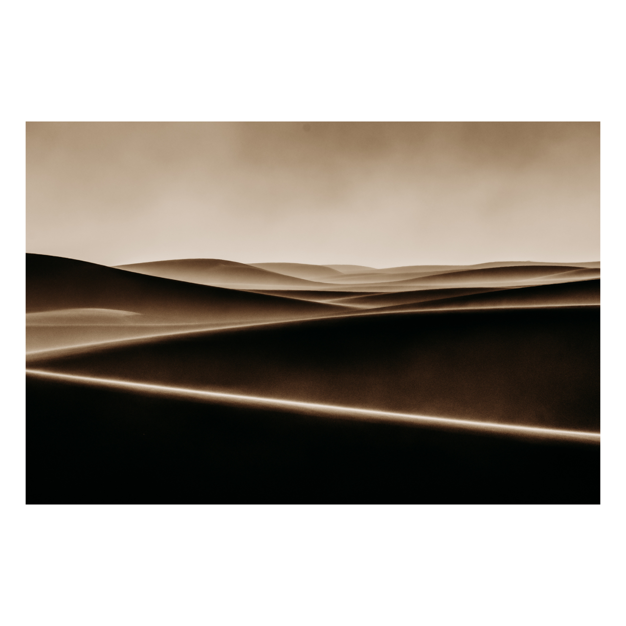 "Bronze Waves of Sand" | Desert Photography Print