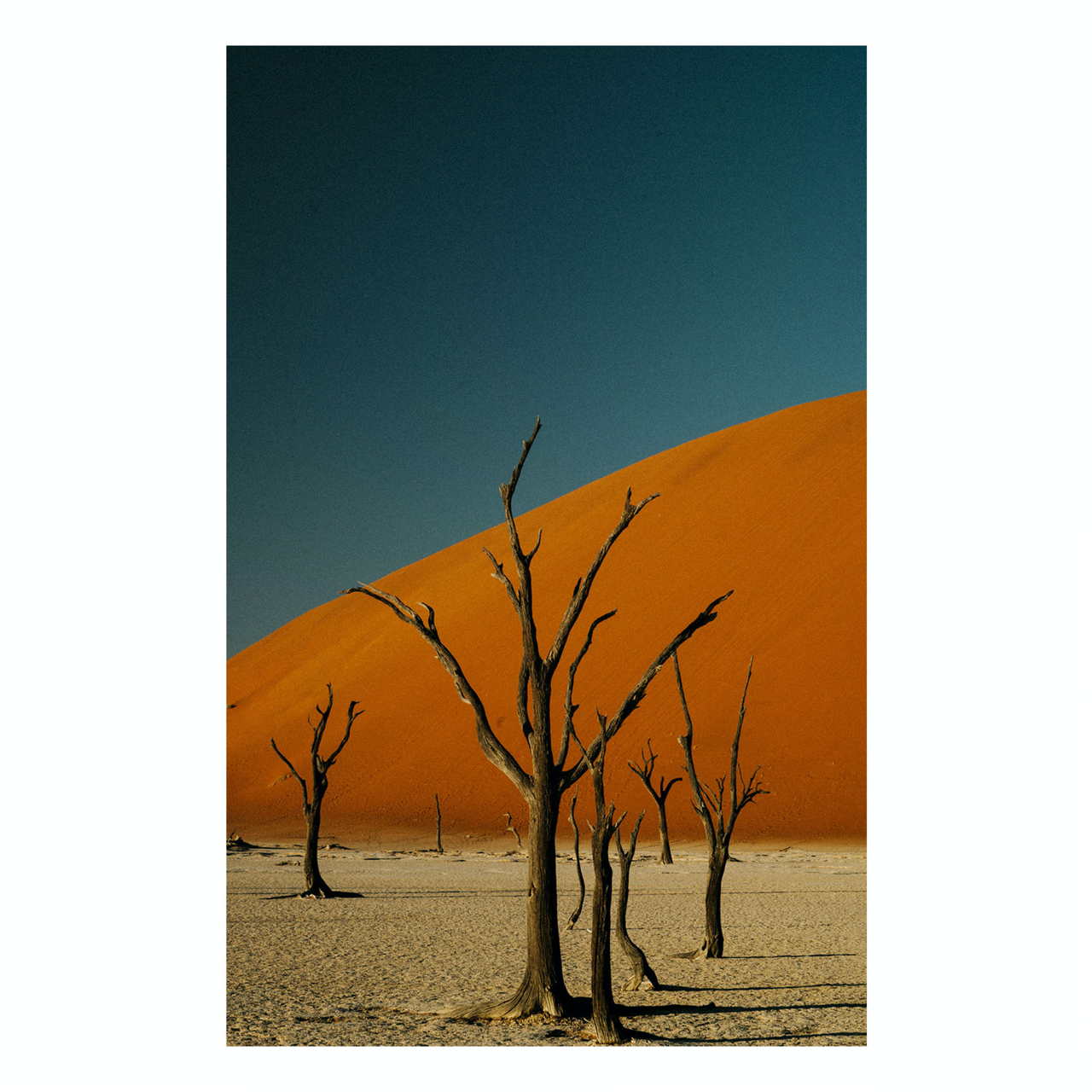 "Deadvlei" | Nature Photography Print