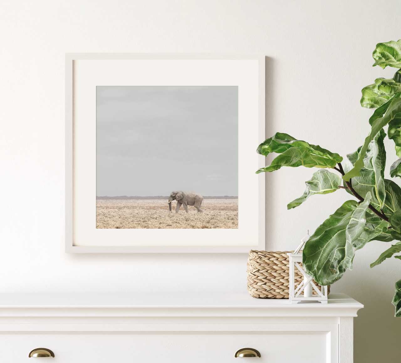 "Elephant" | Wildlife Photography Print