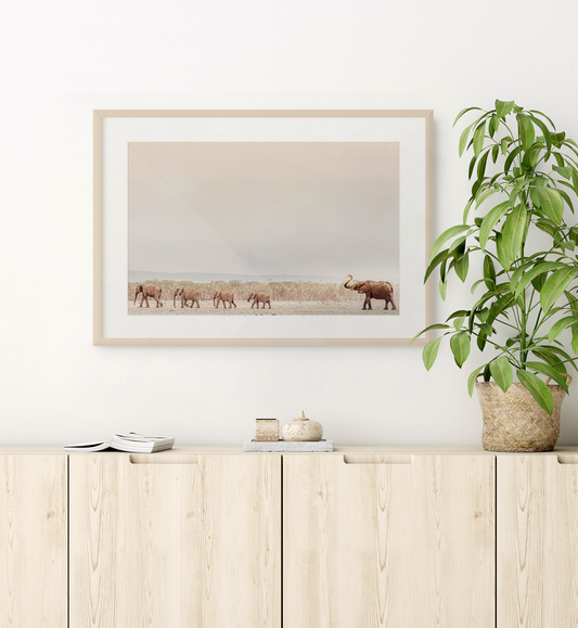 "Evening March" Safari Photography Print