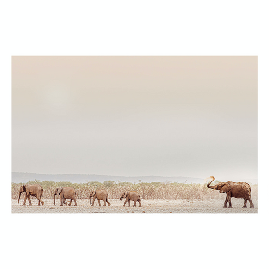 "Evening March" Safari Photography Print