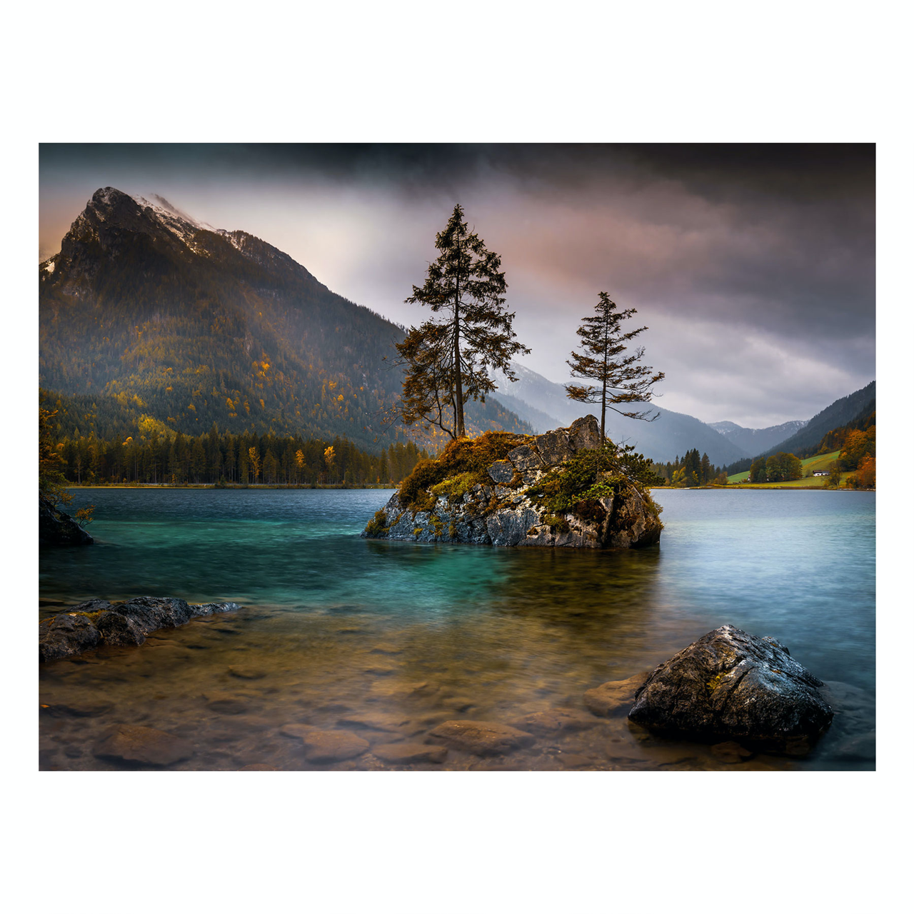 "Ever Green" Nature Photography Print