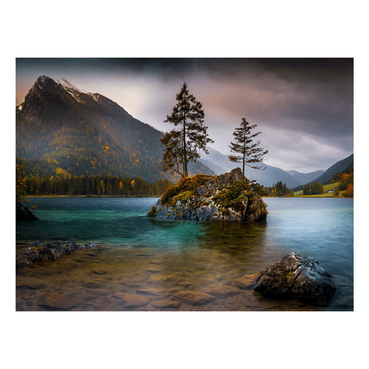 "Ever Green" Nature Photography Print