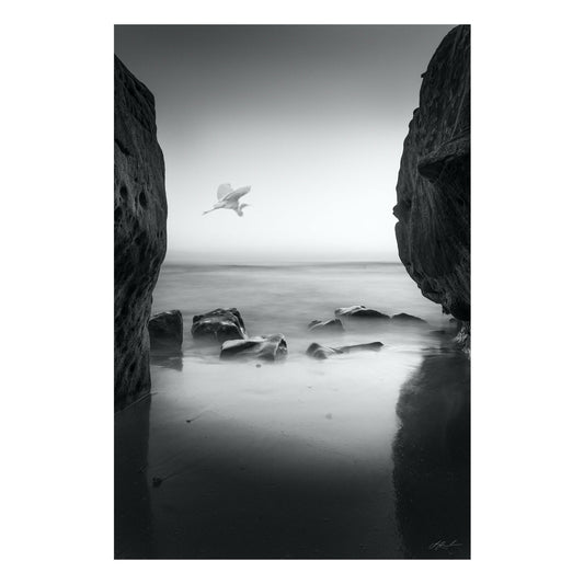 "Fly By" Coastal Photography Print