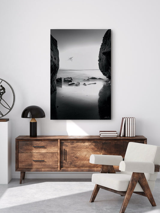 "Fly By" Coastal Photography Print