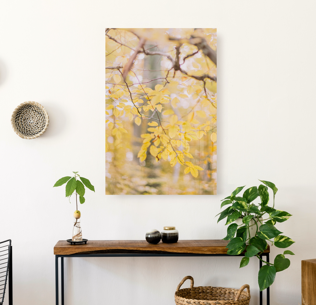 Golden Grace | Aluminum Print