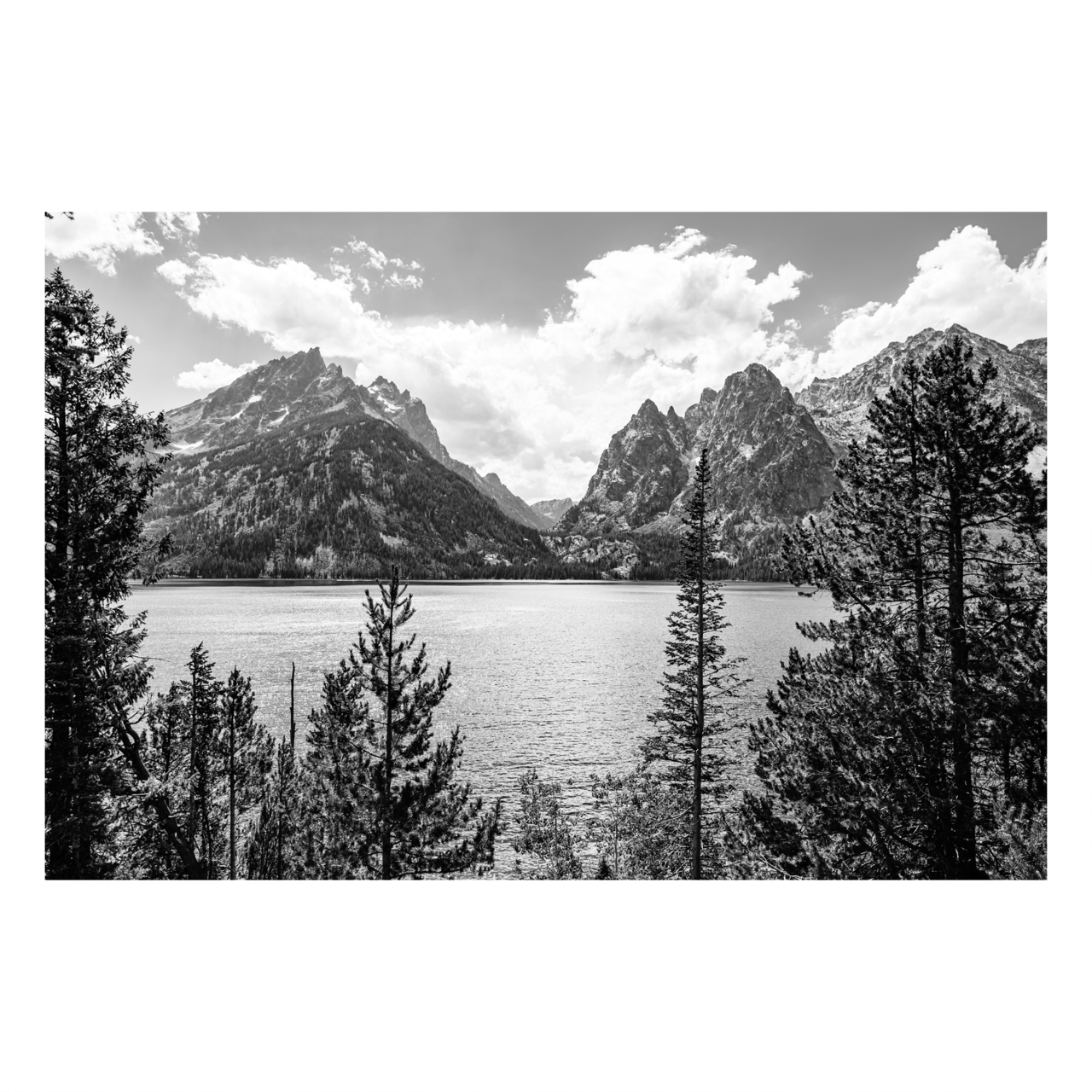 "Jenny Lake" Nature Wall Art