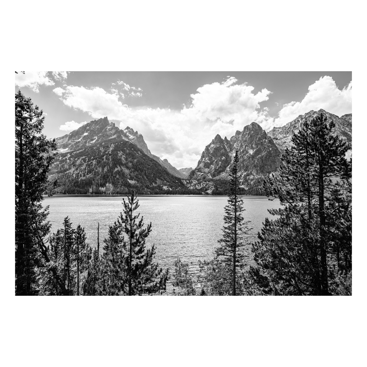 "Jenny Lake" | Landscape Photography Print