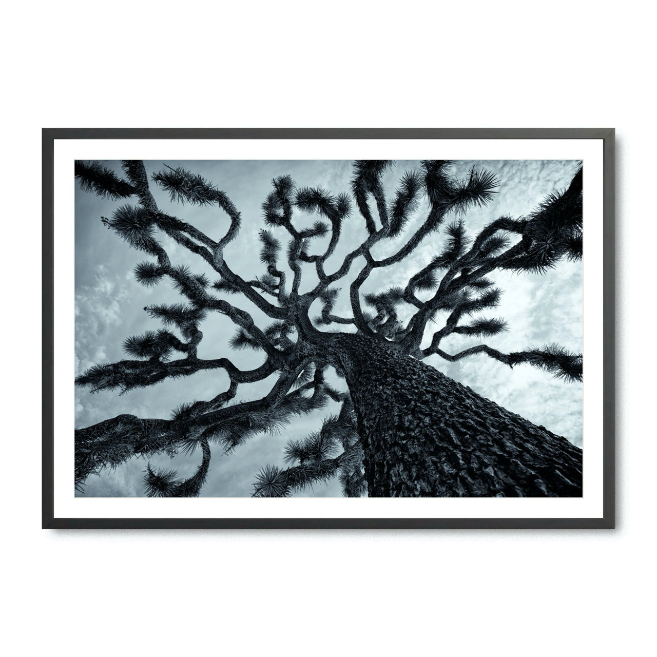 Joshua's Reach - Fine Art Print